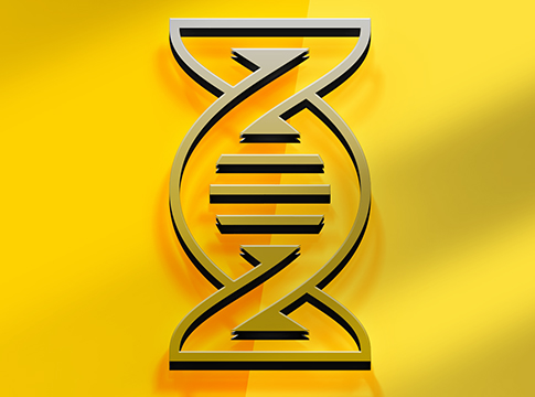 DNA